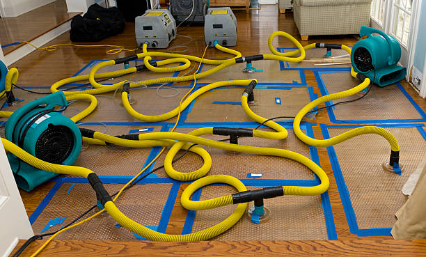 Professional Storm Water Damage Restoration technician working in Highland Park, PA